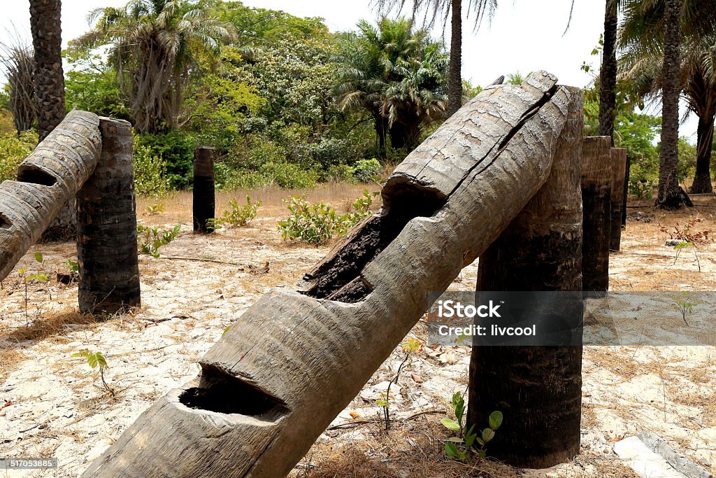 Logs-Diogue-Senegal Africa Stock Photo