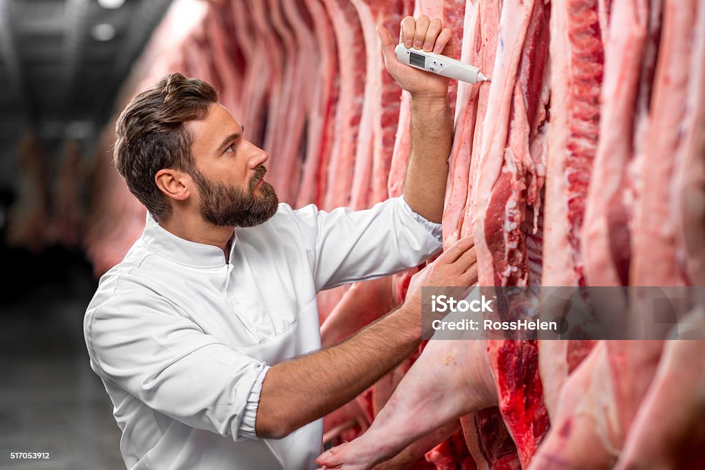 Butcher measuring pork temprature Butcher measuring pork temperature in the refrigerator at the meat manufacturing Meat Stock Photo