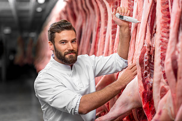 istock Butcher measuring pork temprature 517053980