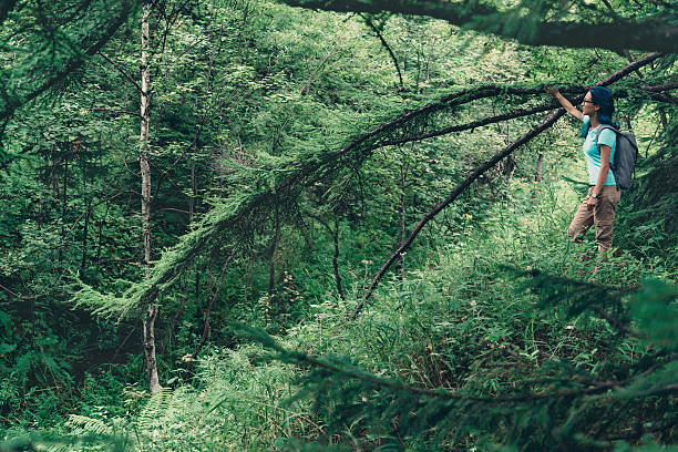 istock Hiker woman resting near the tree 517054704