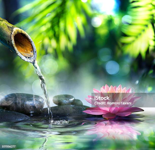 Zen Garden With Black Stones And Pink Waterlily Stock Photo - Download Image Now - Bamboo - Plant, Fountain, Lotus Root - Food