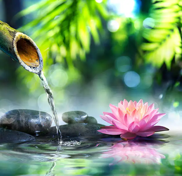 zen fountain in the pond with water lily