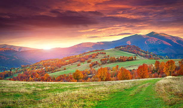 istock Colorful autumn sunrise in the mountains. 517058003