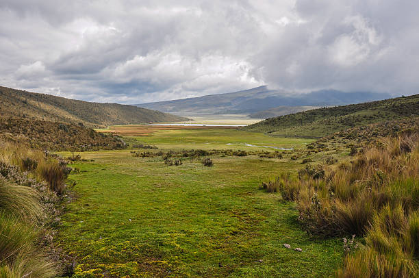 istock Cotopaxi National Park, Ecuador 517058857