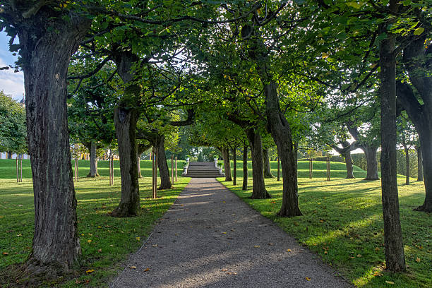 istock Autumn Alley 517059325