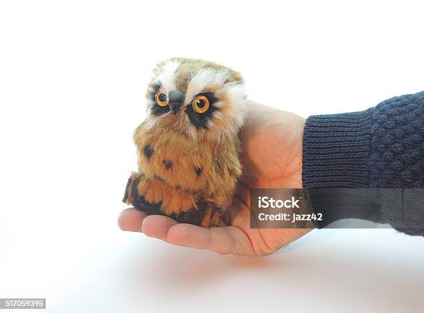 Knowledge Transfer Symbolized By Handing Over An Owl Stock Photo - Download Image Now