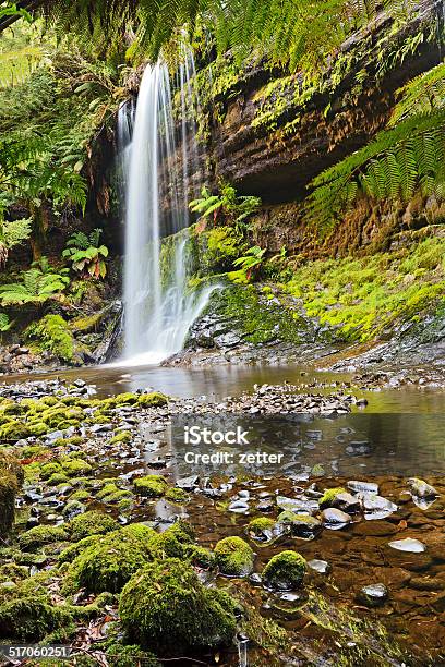 Tasmania Waterfall Mt Field Vertical Stock Photo - Download Image Now - Australia, Blurred Motion, Clean