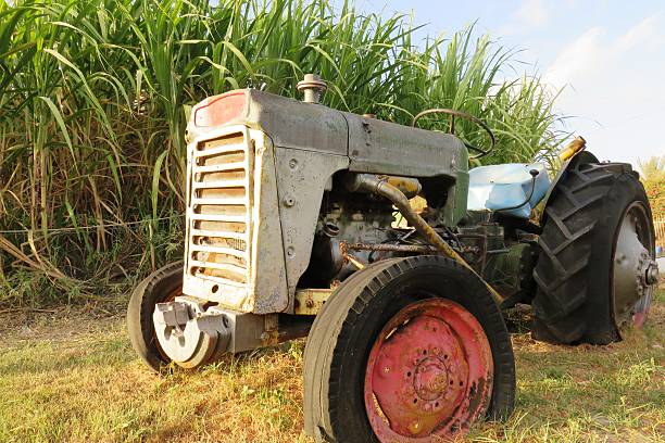 Agriculture, Vintage Tractor (Ferguson TE-20 little grey fergie)