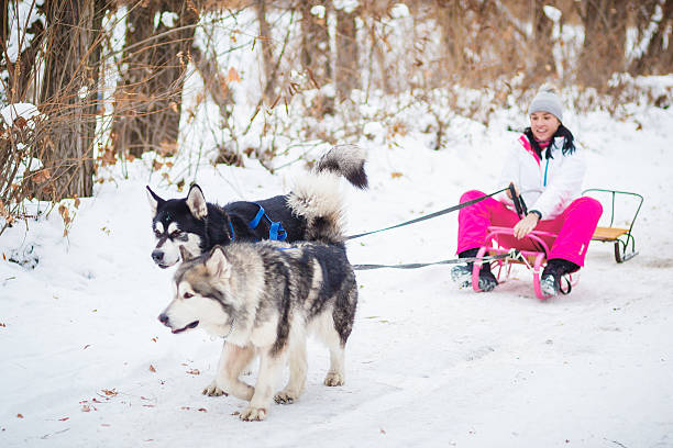 istock dog sledding, woman 517075932