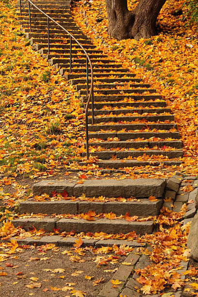 istock Stairs filled with colourful autumn leaves 517076097