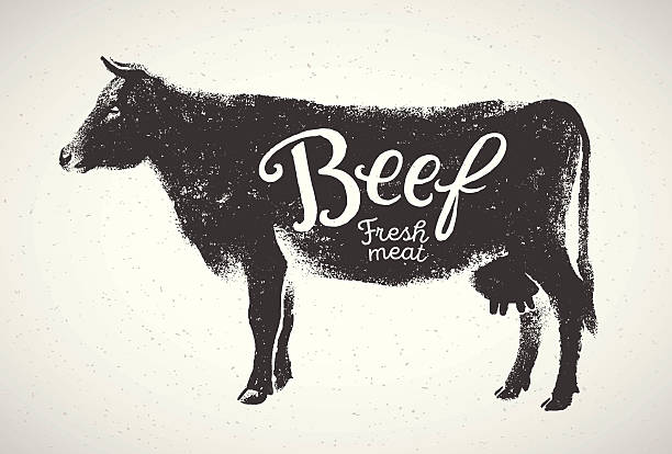 Graphical silhouette cow. Graphical silhouette cow and inscription. Vector illustration, drawn by hand. Can be used as labels and packaging. cattle illustrations stock illustrations