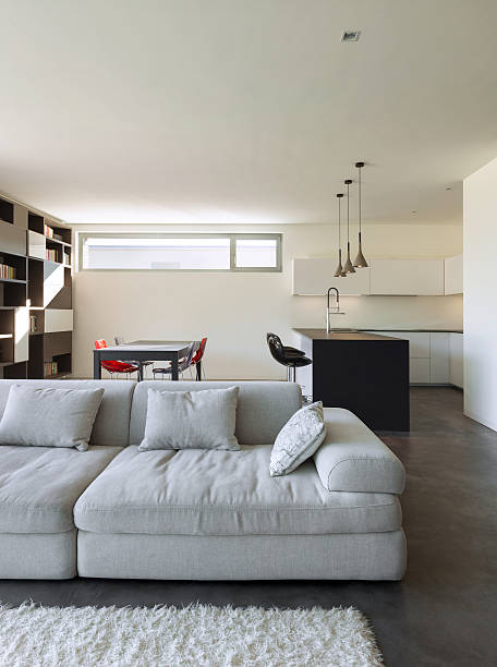 istock House interior, living room with kitchen 517078535