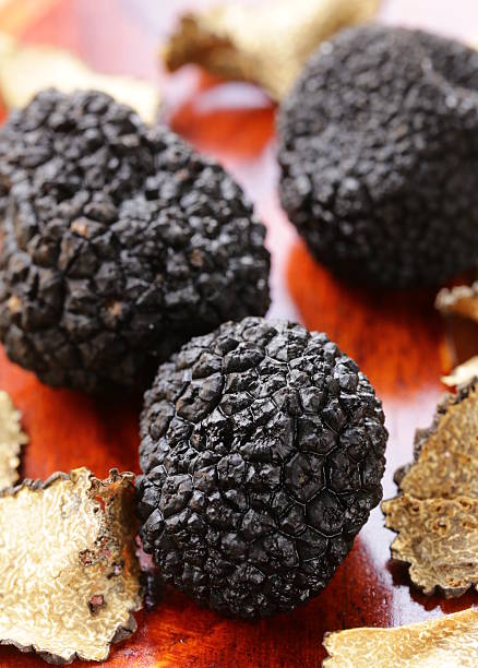 istock expensive rare black truffle mushroom - gourmet vegetable 517078835
