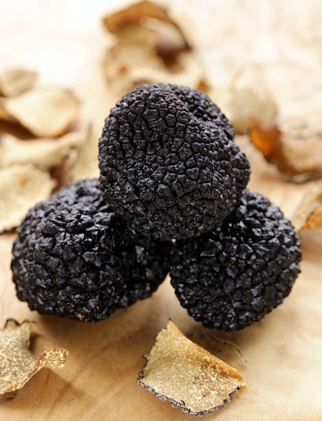 istock expensive rare black truffle mushroom - gourmet vegetable 517078837