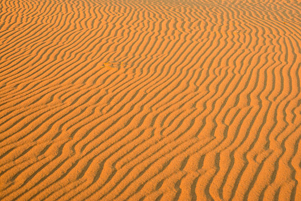 рисунок в полоску на оранжевый песок дюна - sand dune sand orange california стоковые фото и изображения