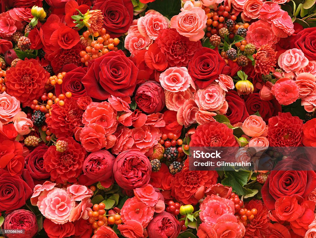 Abstract background of flowers Abstract background of flowers close-up. Anniversary Stock Photo