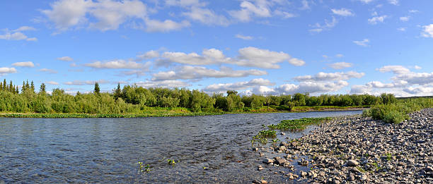 istock Panoramic river landscape in the polar Urals. 517090115