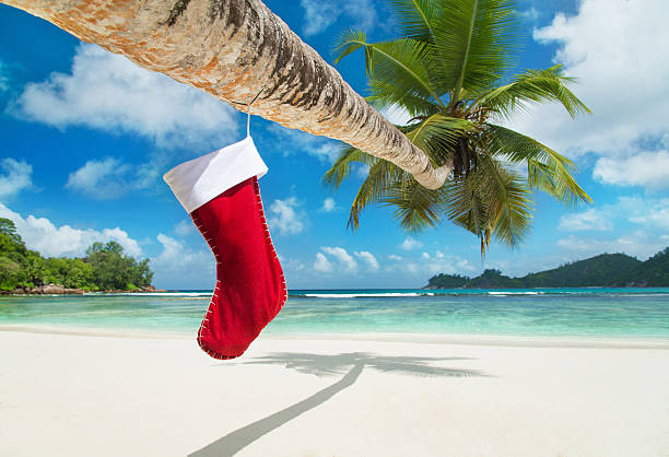 meias de natal com palmeiras na praia tropical exótica - seychelles sea lagoon tropical climate - fotografias e filmes do acervo