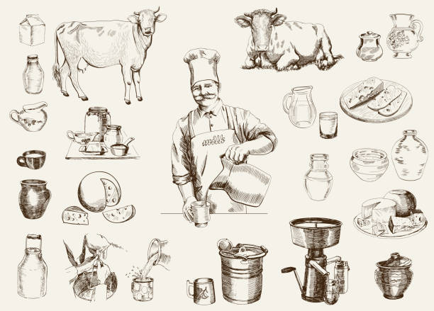 dairy production dairy production.  hand drawn illustrations. vector cow drawings stock illustrations
