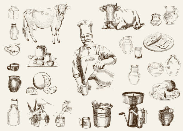 dairy production dairy production. hand drawn illustrations. vector cow drawings stock illustrations