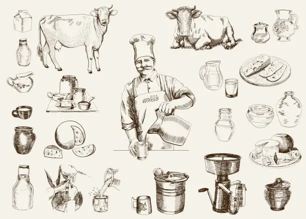 Vector illustration of dairy production