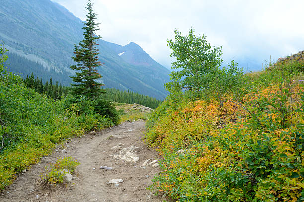 istock Hiking trail through orange leaves, green grass, and mountains. 517094491
