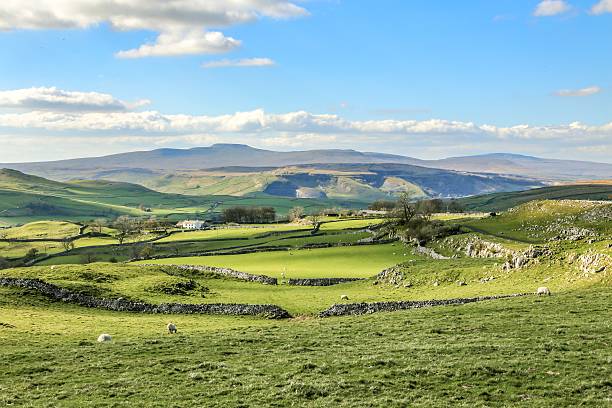 bonito yorkshire dales paisagem deslumbrante cenário inglaterra verdes colinas - swaledale - fotografias e filmes do acervo