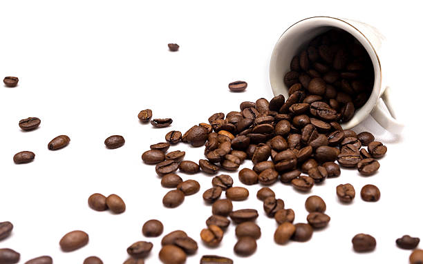 istock Cup of coffee beans 517097006