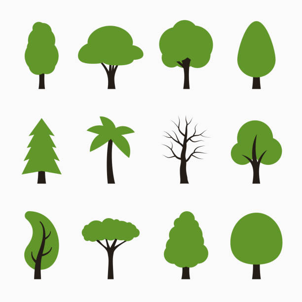 illustrations, cliparts, dessins animés et icônes de arbre d'icônes définies. - tree set