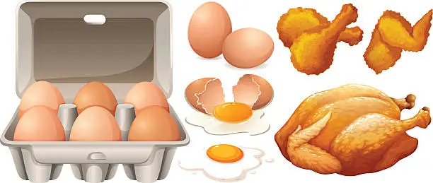 Vector illustration of Eggs and fried chicken