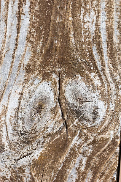 istock grunge old wooden texture 517100362