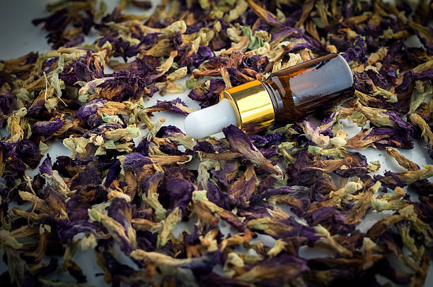 istock oils or ointments in bottle made from herbs 517101478