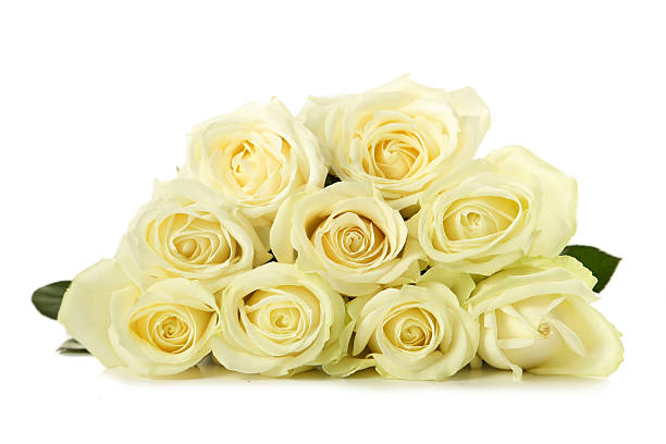 istock Bouquet of white roses isolated on white 517101534