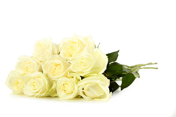 istock Bouquet of white roses isolated on white 517101560