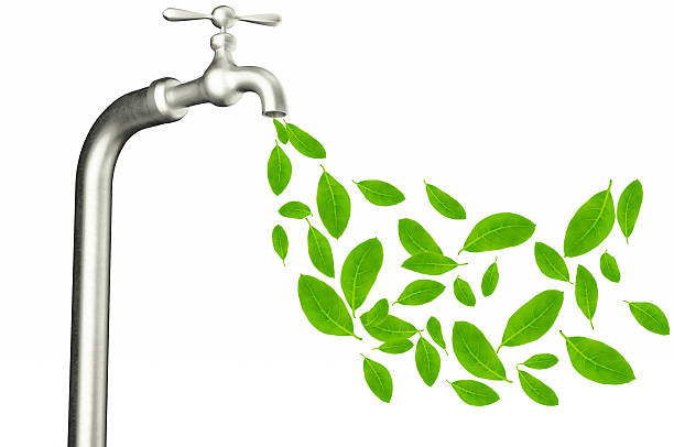 istock faucet with green leafs isolated on white background. 517101624