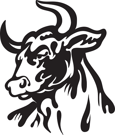 Vector head of angry bull isolated on the white background.