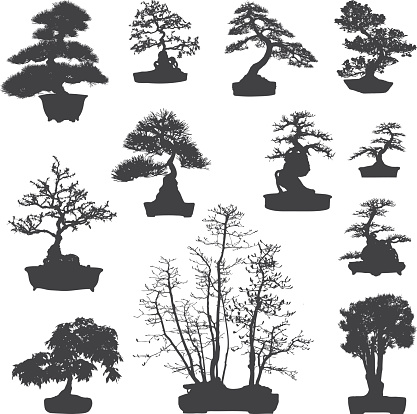 Diferent type of bonsai tree silhouettes set. Eps8. Isolated on white. 