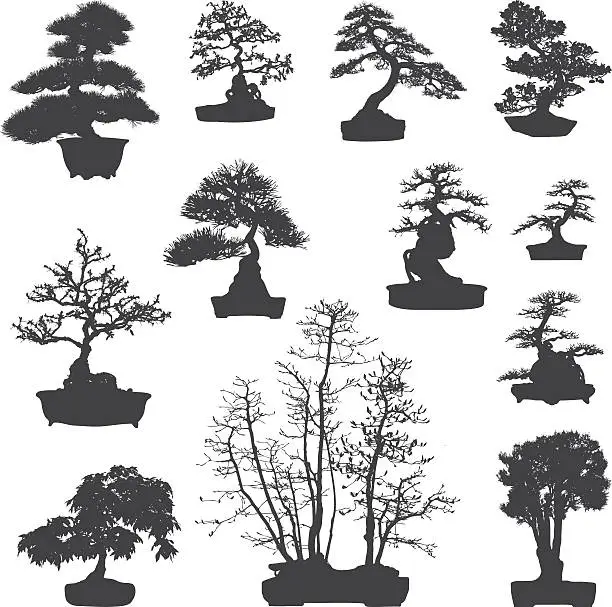 Vector illustration of Bonsai tree silhouettes set