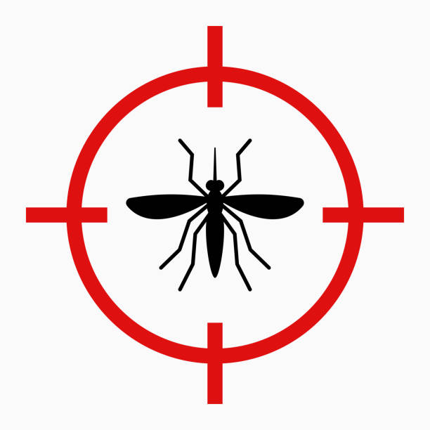 Zika virus alert, target mosquito vector art illustration