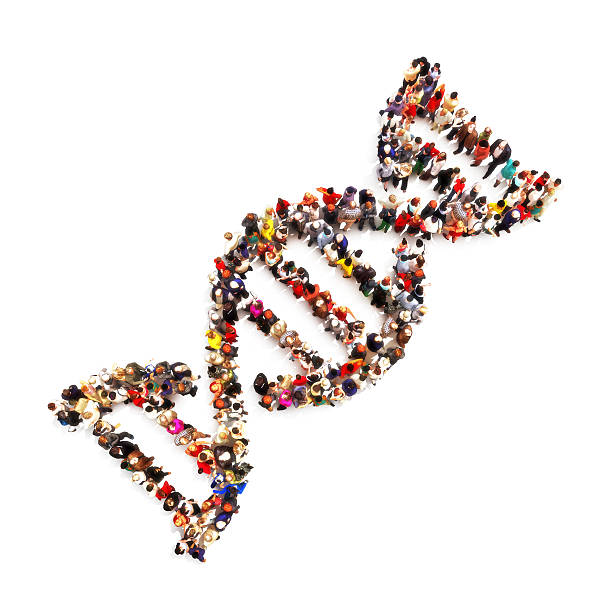 DNA foot print. stock photo