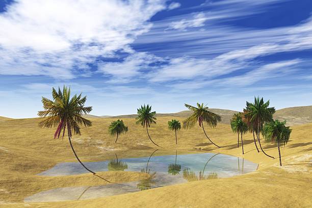 istock oasis in the desert, palm trees and lake 517108254