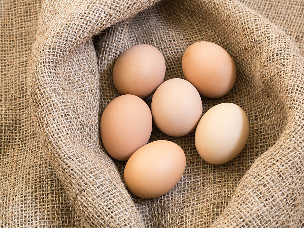 フレッシュな産地直送の卵 荒布 - agriculture brown burlap cholesterol ストックフォトと画像