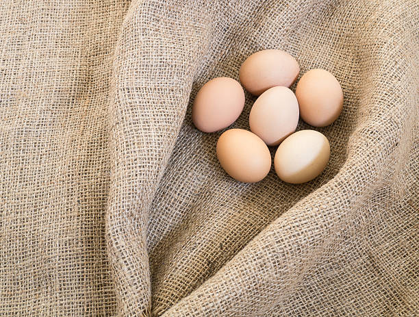 uova fresche su tela di sacco - agriculture brown burlap cholesterol foto e immagini stock