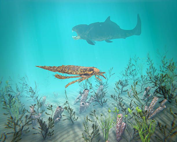 Eurypterus And Dunkleosteus In The Devonian Sea stock photo
