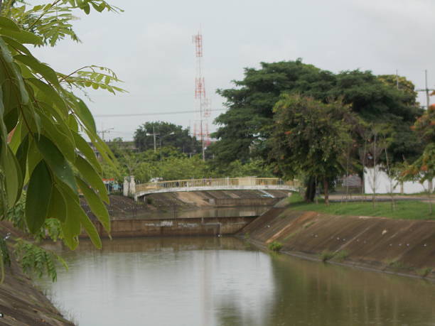 istock Bridge over the river in Mahasarakham University, Thailand. 517110984