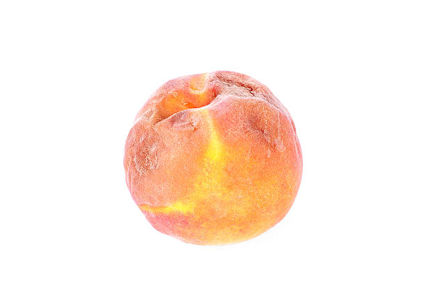 istock Rotten peach isolated on a white 517115341