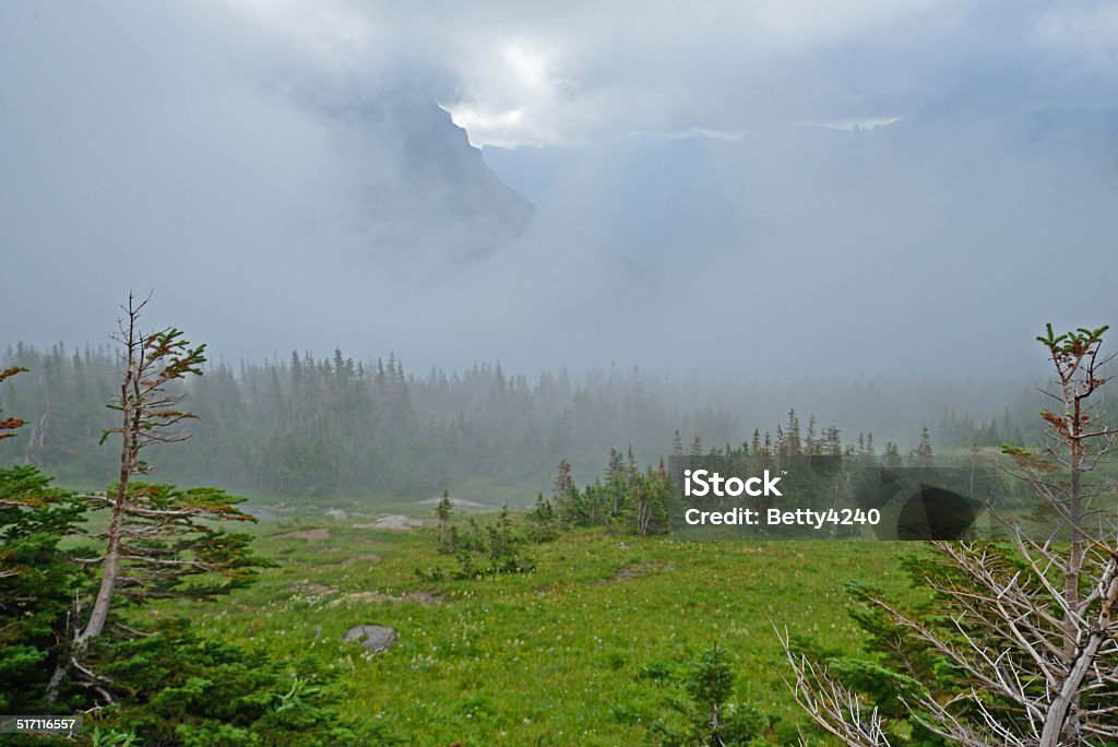 Fog in the valley in Glacier National Park. fog, valley, park Extreme Terrain Stock Photo