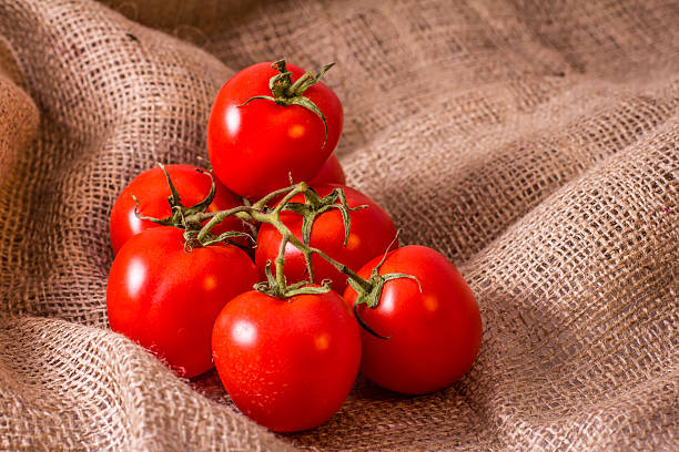 istock branch of tomatoes on burlap 517121510