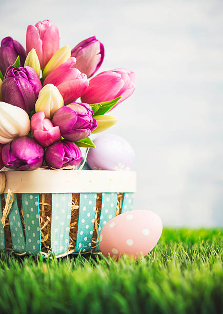 istock Tulip bouquet with Easter eggs and Easter basket in grass 517122272