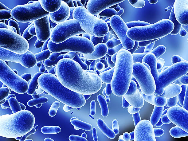 istock Colony of viruses 517122466